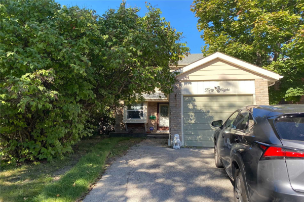 58 Redheugh Cres, Toronto