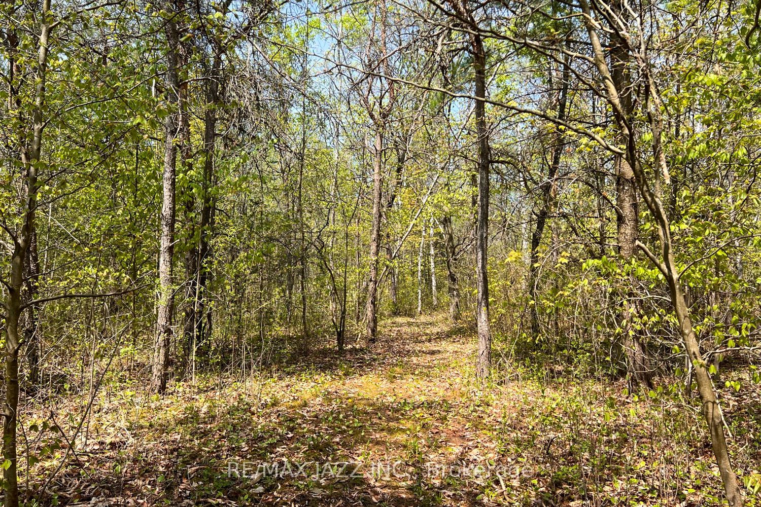 Listing E5984416 - Large Photo # 32