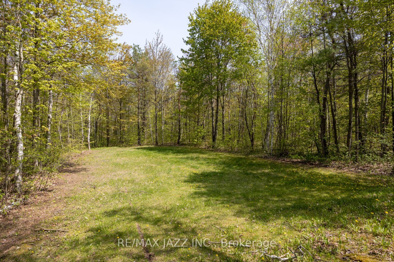 Listing E5984416 - Large Photo # 30