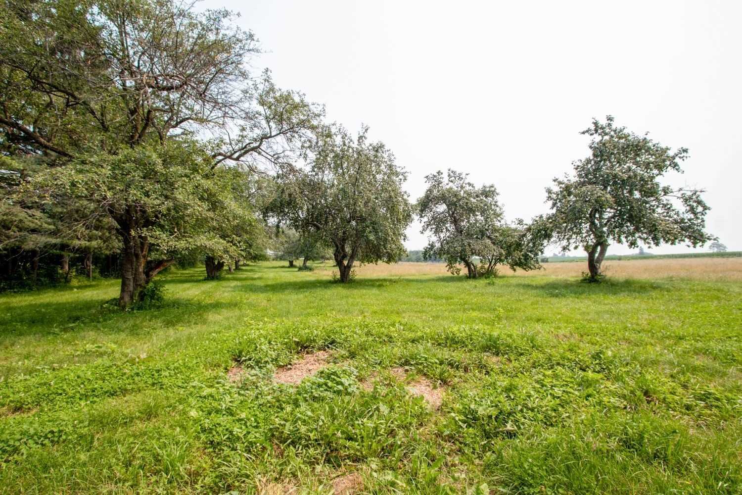 Listing E5984877 - Large Photo # 21
