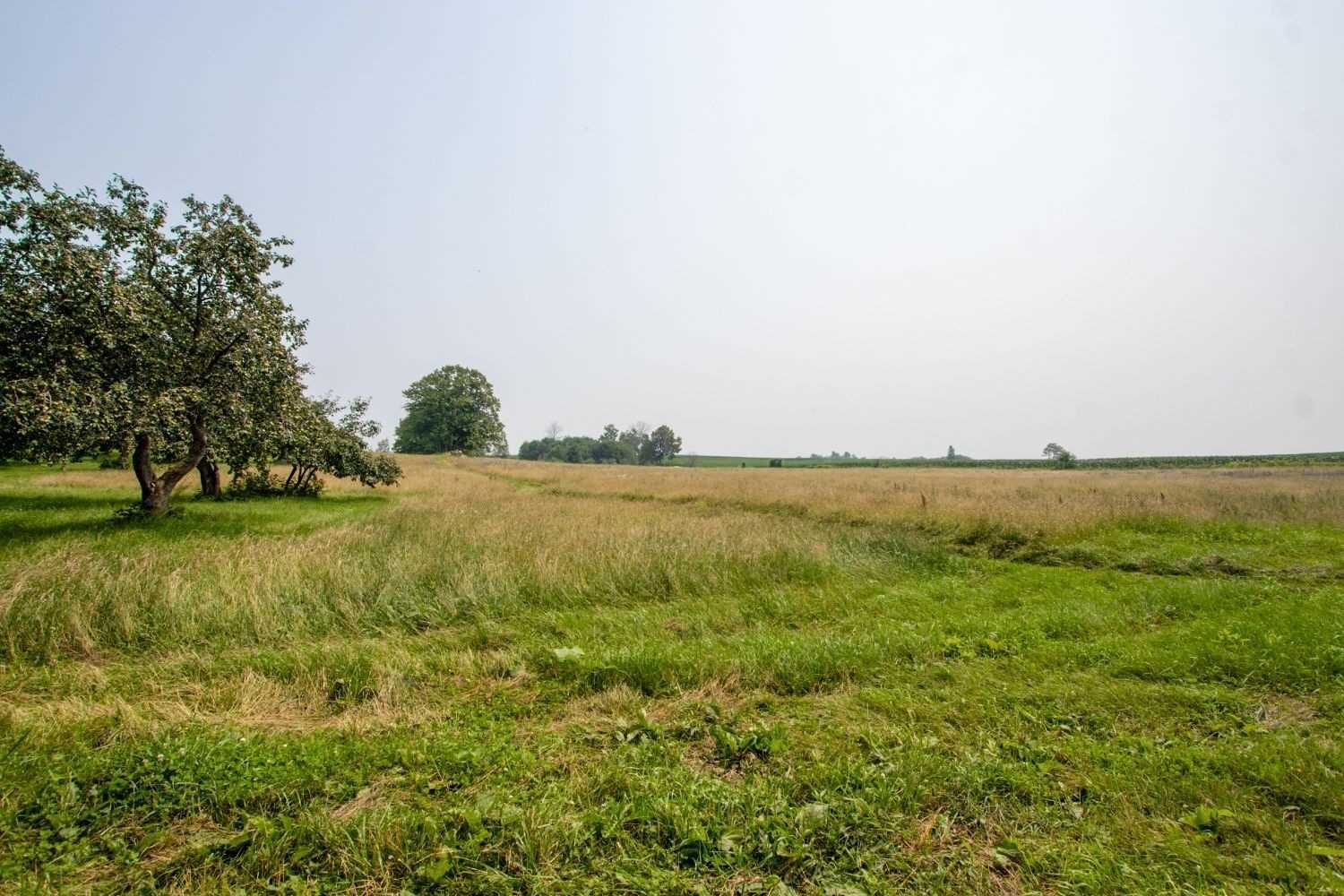 Listing E5984877 - Large Photo # 22