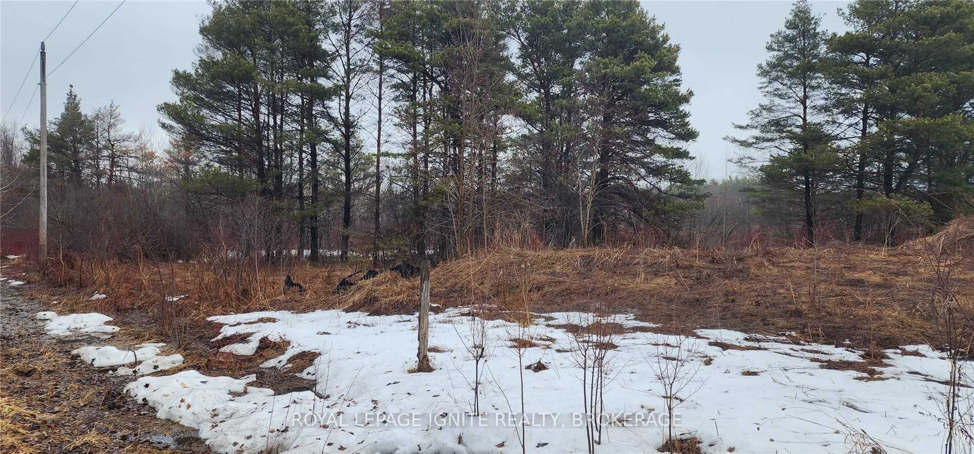Listing E5988751 - Large Photo # 5