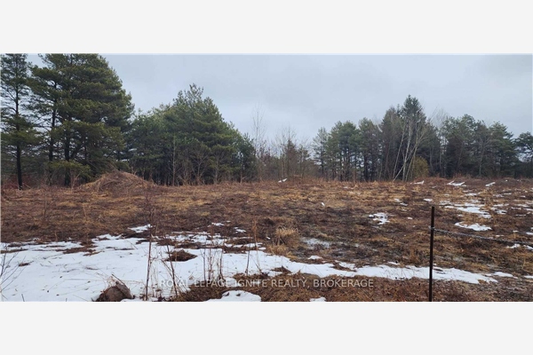 3799 Rundle Rd, Clarington