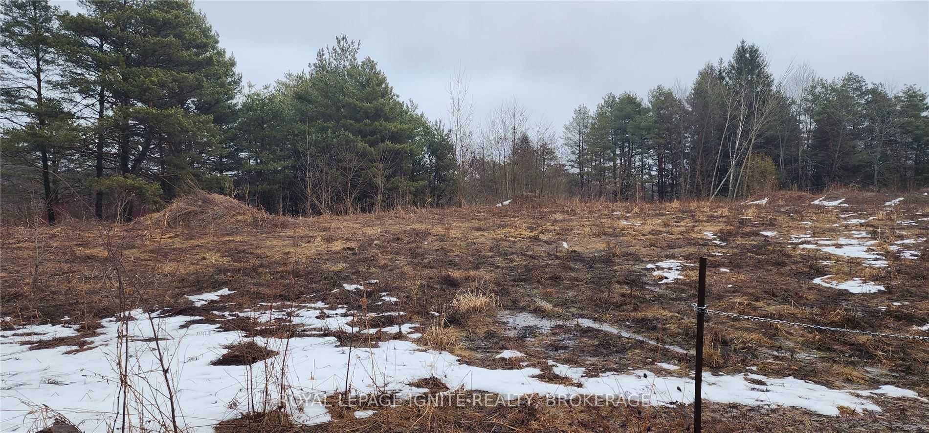 Listing E5988751 - Large Photo # 4