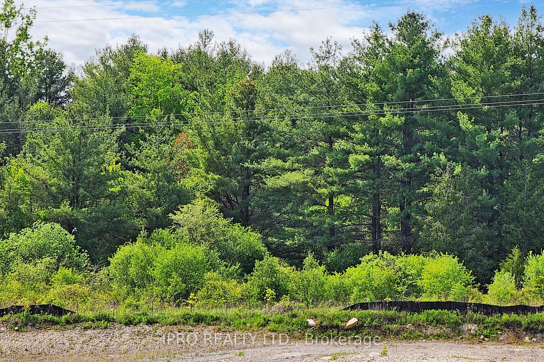 Listing E6029024 - Large Photo # 37