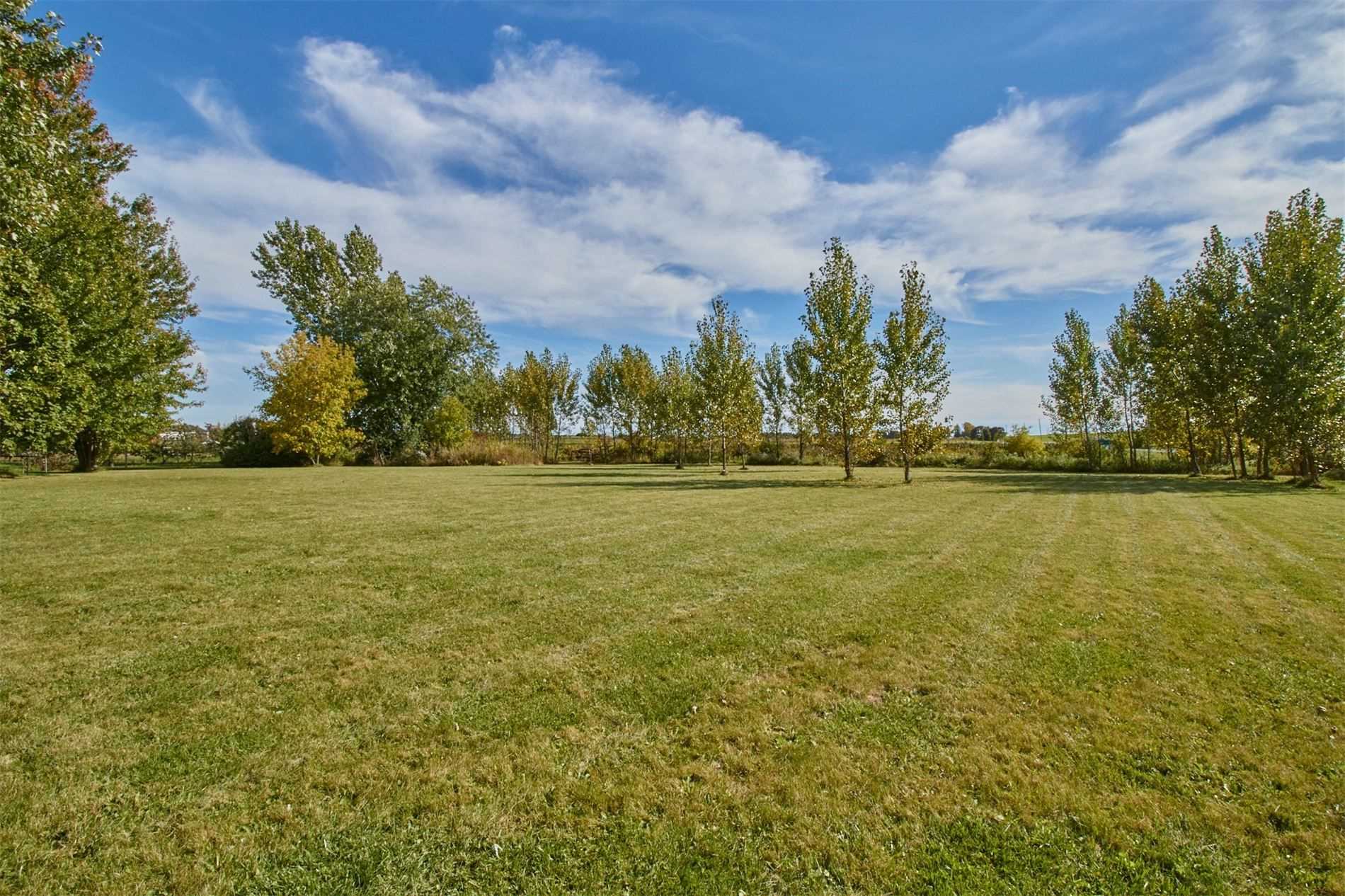 Listing E6033271 - Large Photo # 8