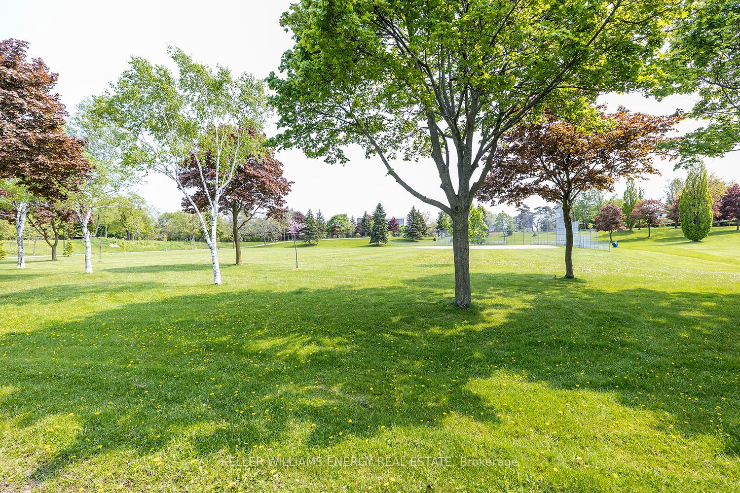 Listing E6033864 - Large Photo # 26