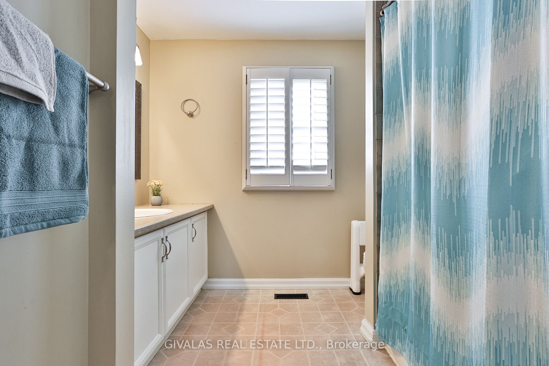 Listing E6041636 - Large Photo # 29
