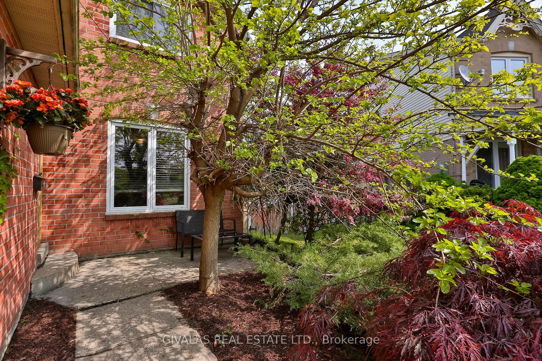 Listing E6041636 - Large Photo # 3