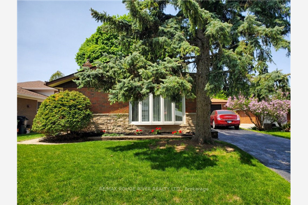 14 Dolly Varden Blvd, Toronto