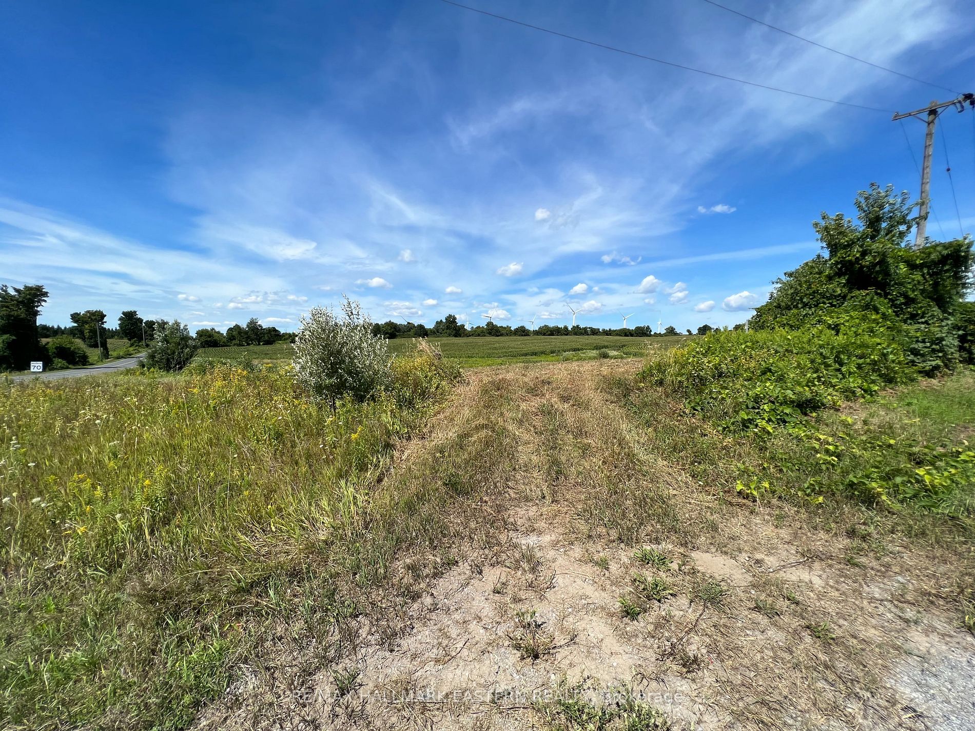 Listing E6074052 - Large Photo # 3