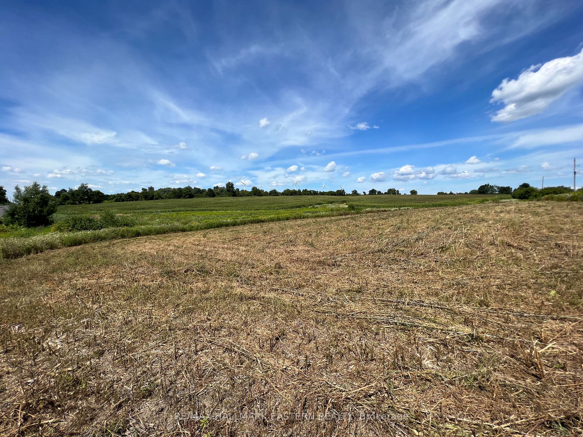 Listing E6074052 - Large Photo # 6