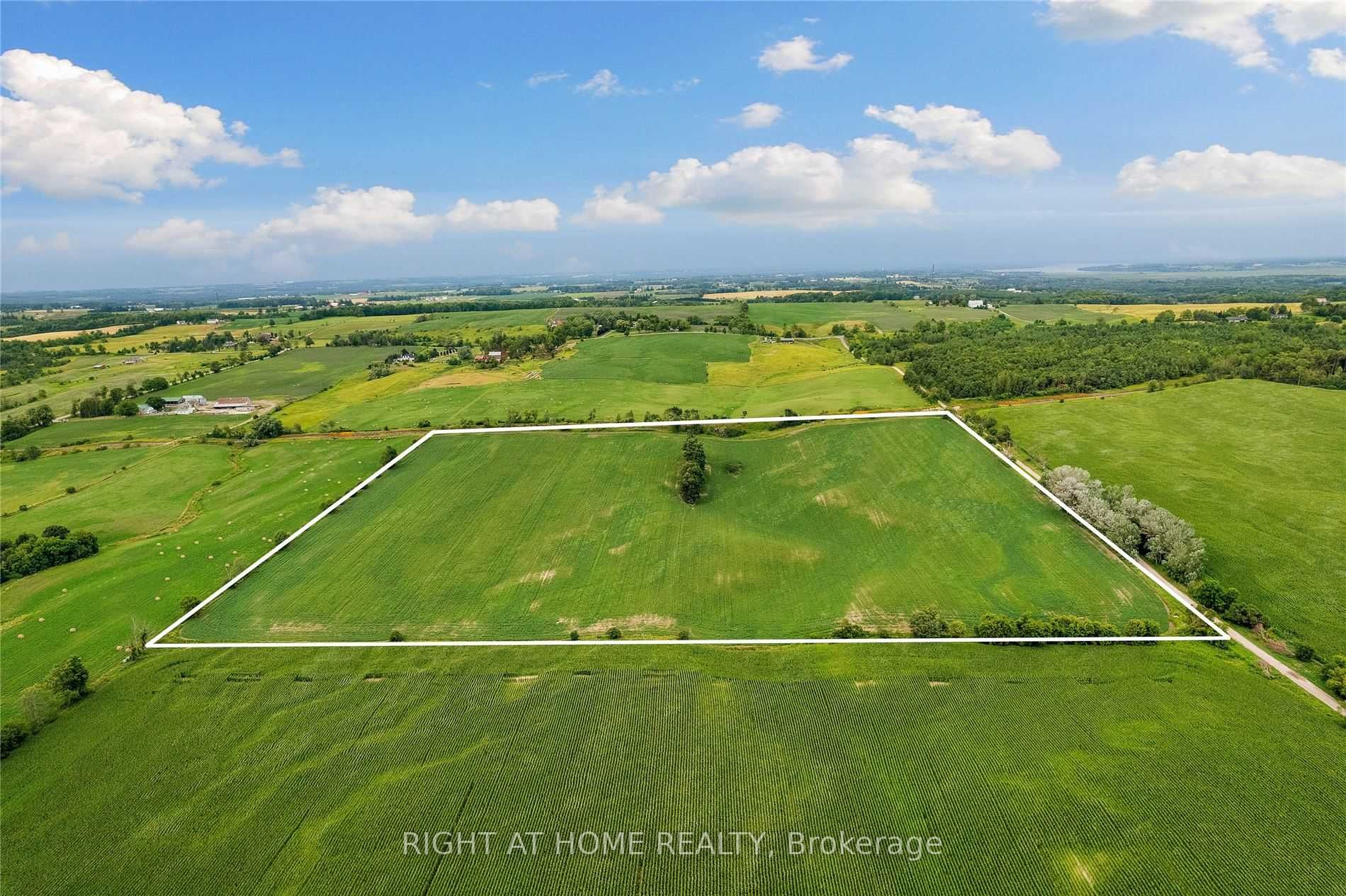 Listing E6074108 - Large Photo # 11