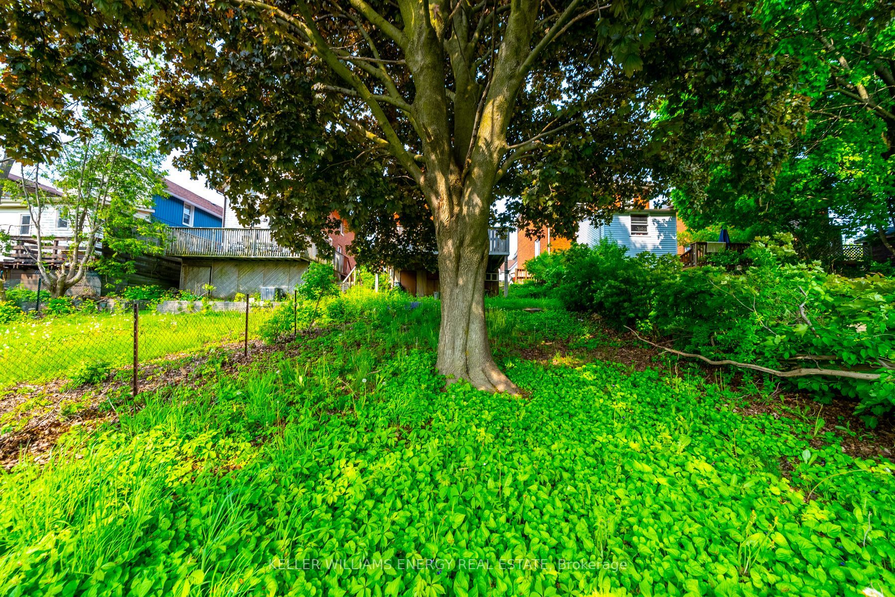Listing E6081092 - Large Photo # 9