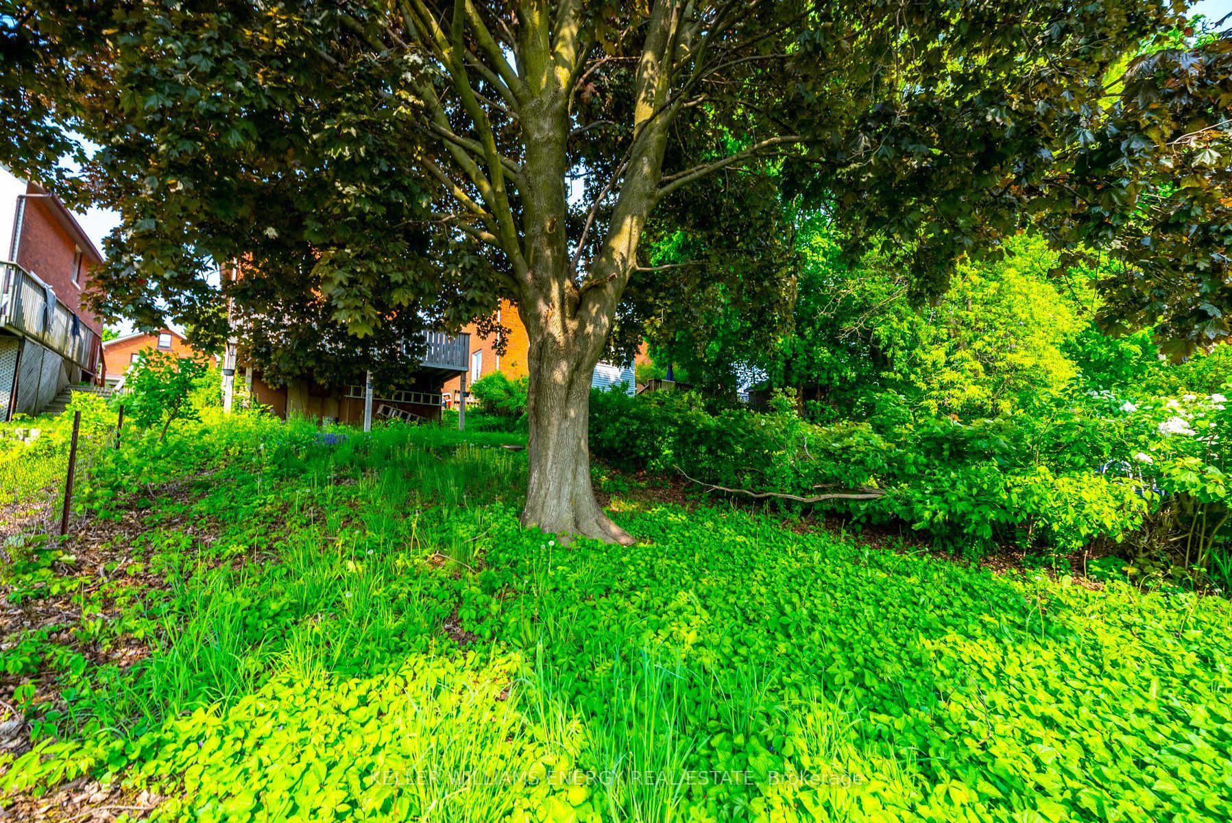 Listing E6081092 - Large Photo # 10