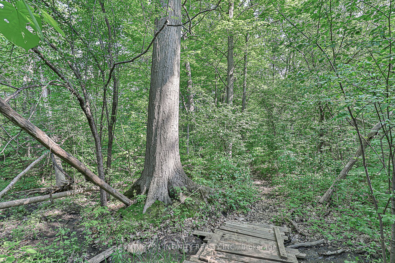 146 Thicket Cres