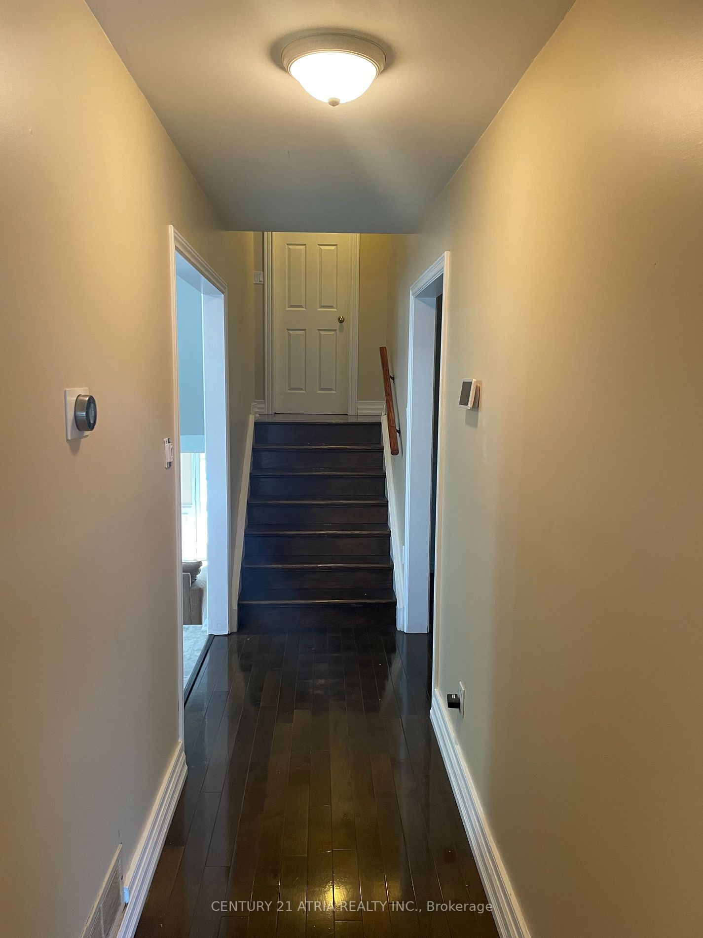 113 bassett Boulevard