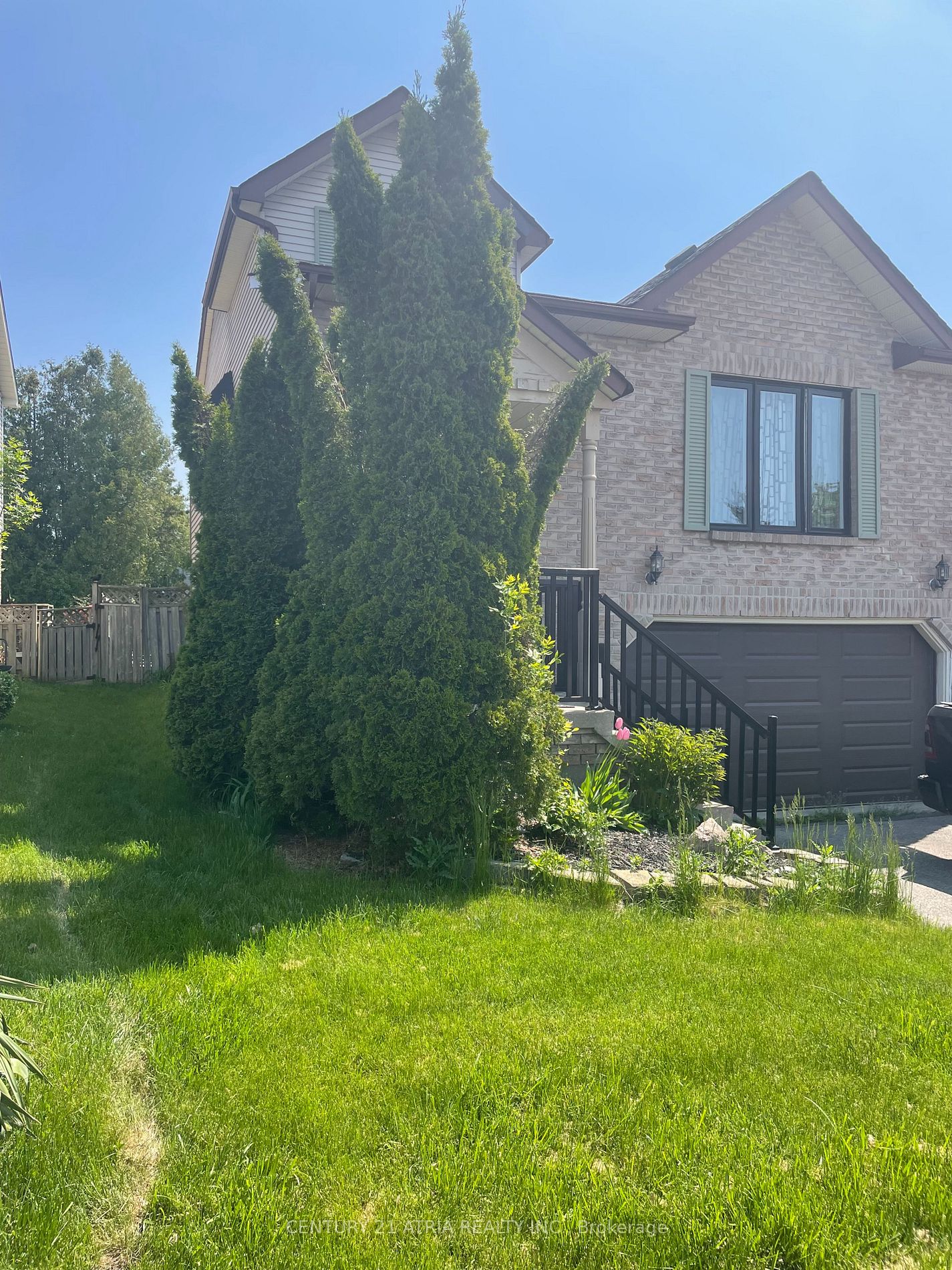 113 bassett Boulevard