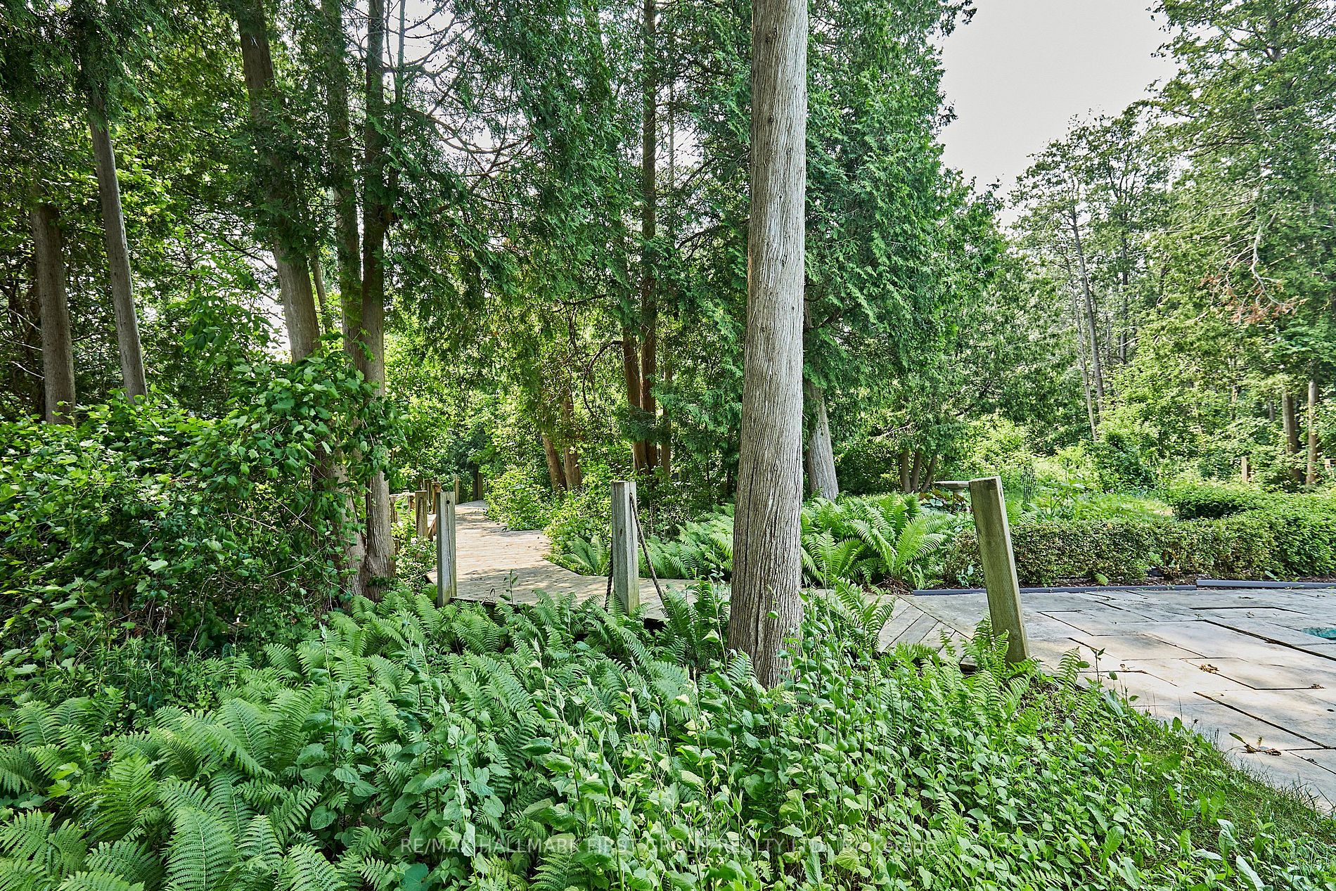 Listing E6124592 - Large Photo # 35