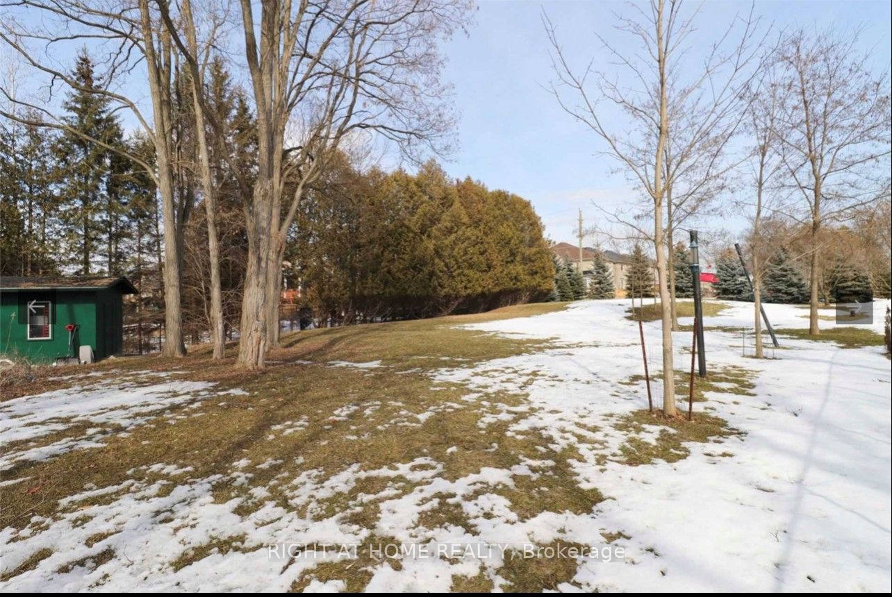 Listing E6147176 - Large Photo # 16