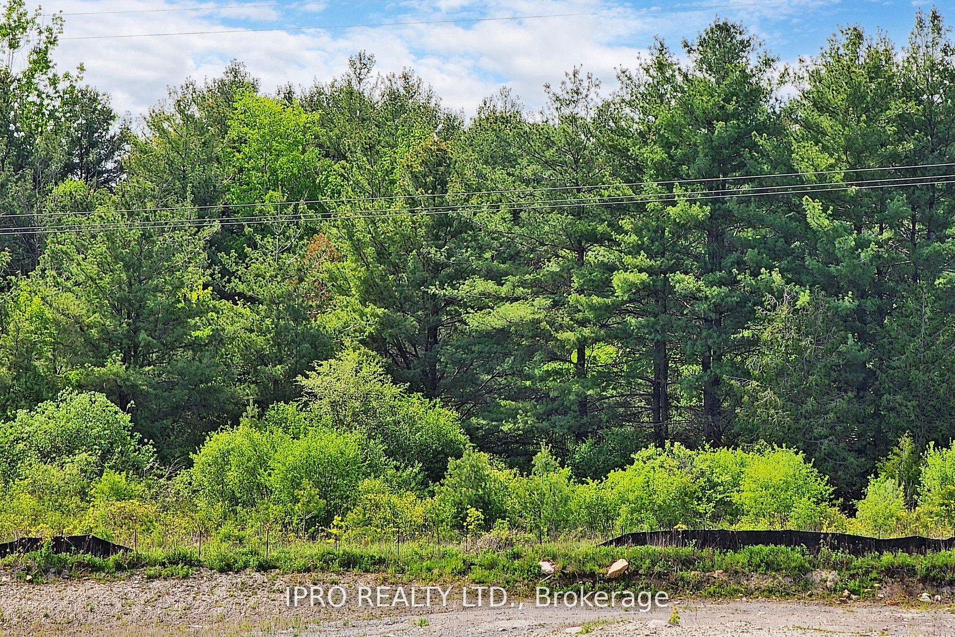 Listing E6162256 - Large Photo # 36