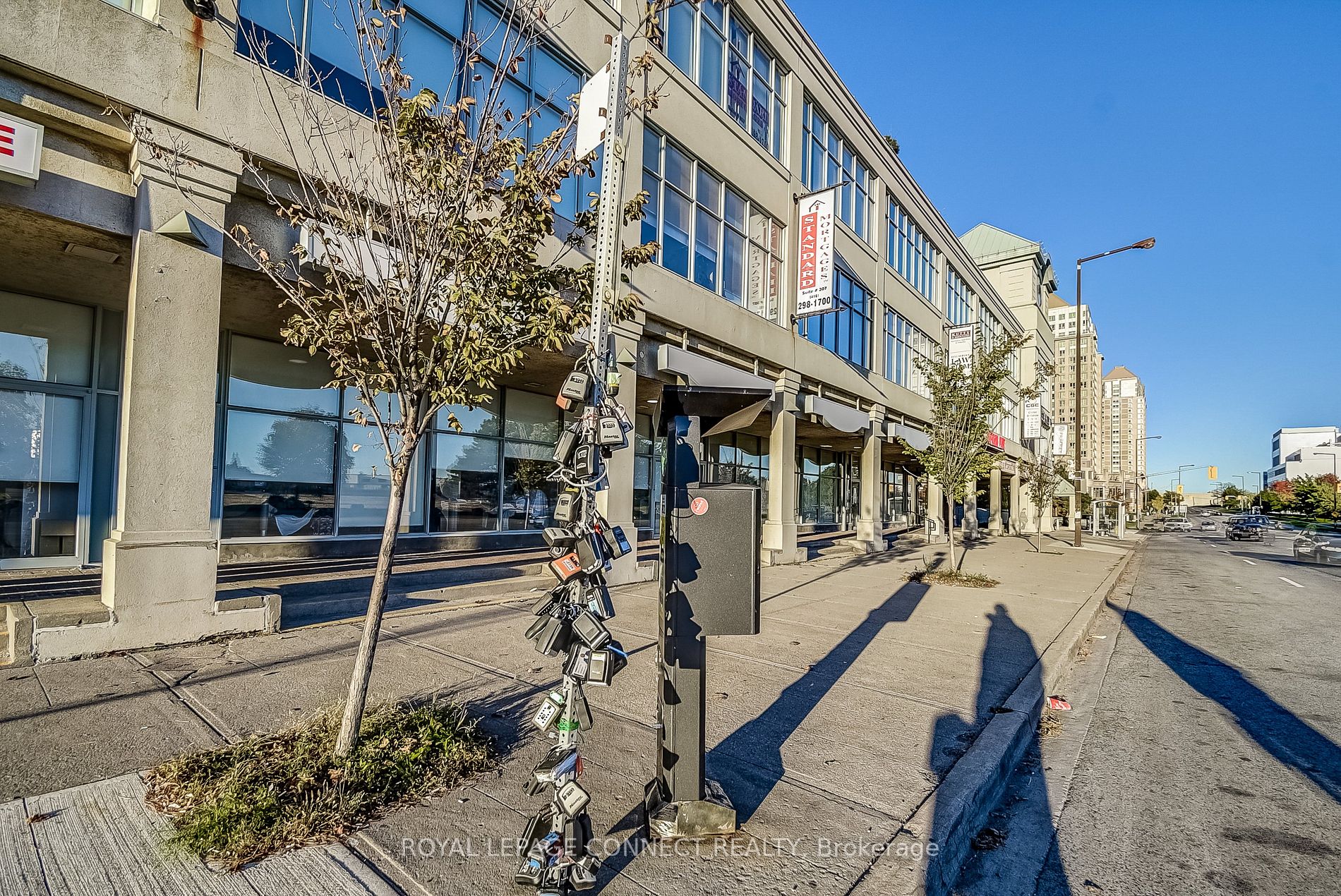 88 Corporate Dr, #1617
