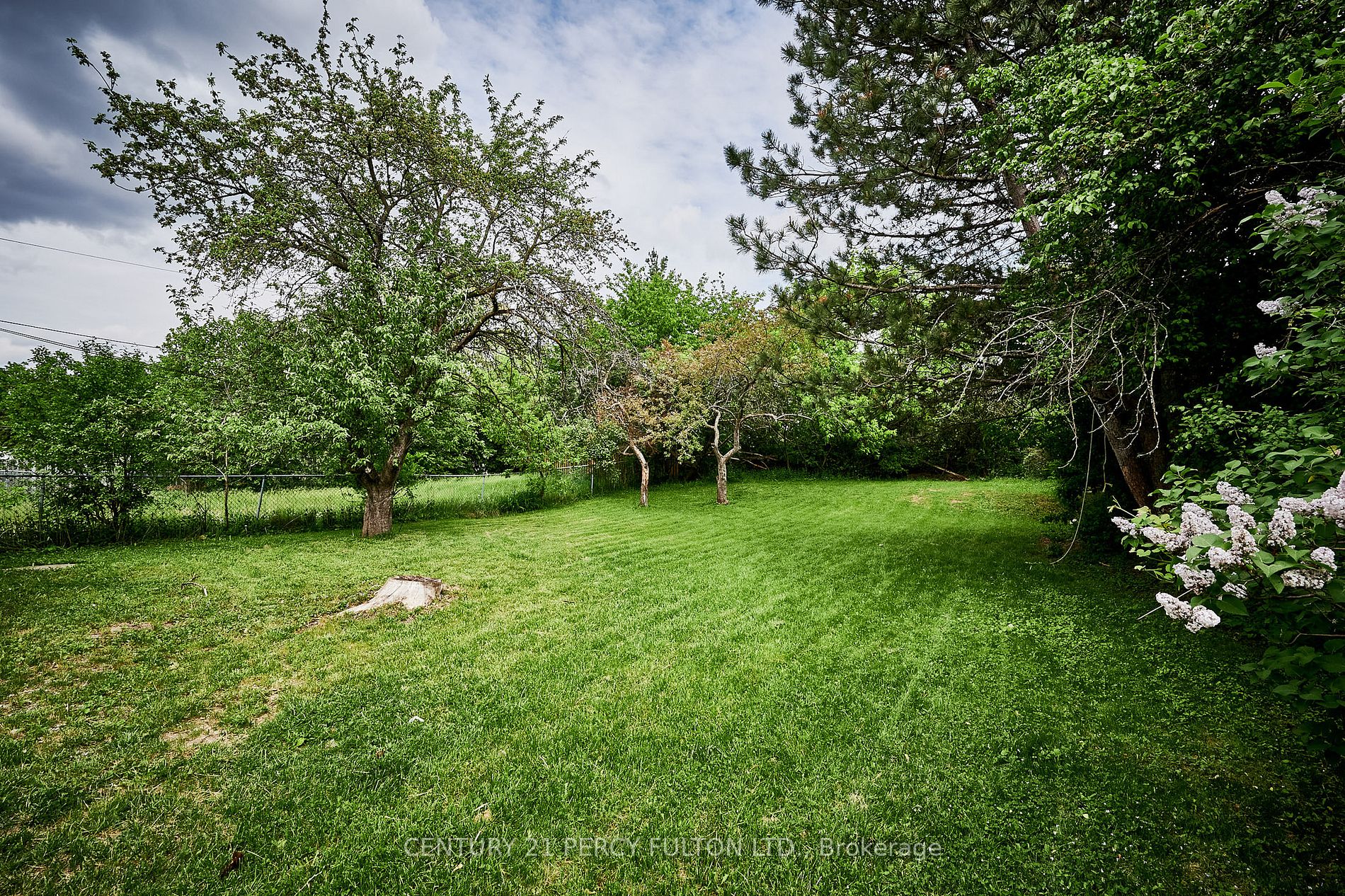 19 Lynvalley Cres