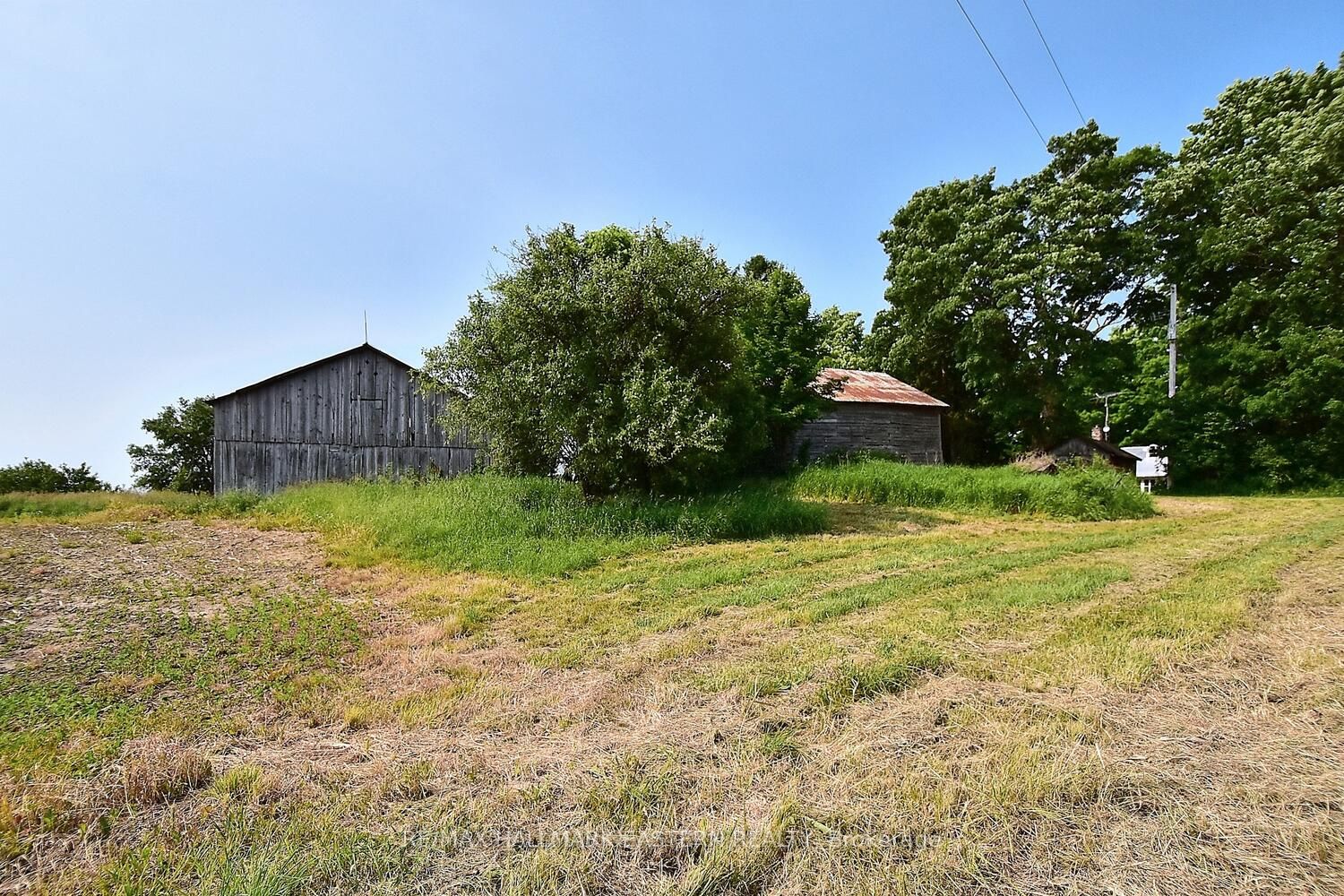 2419 Regional Road 20