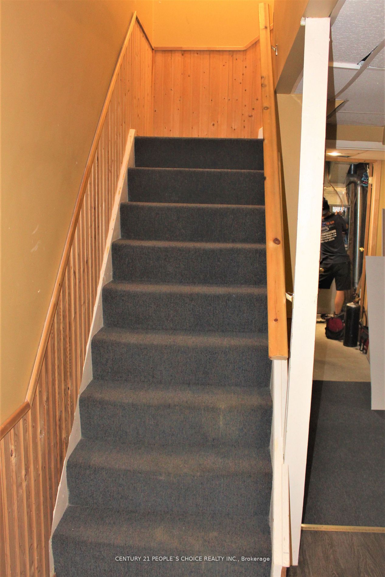 534 Cobblehill Dr