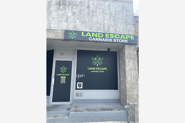 251 Coxwell Ave, Toronto