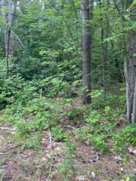 Pt Lots 21&22 Concession 1