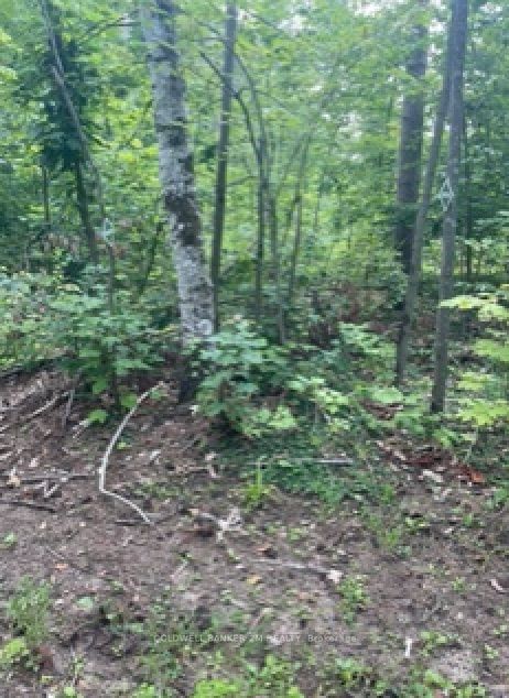 Pt Lots 21&22 Concession 1