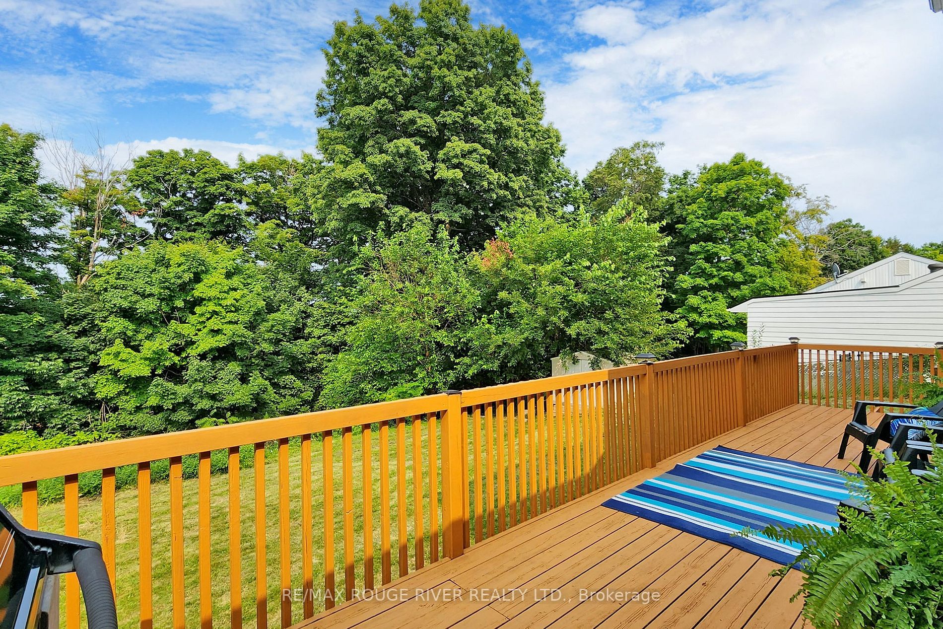 181 Ridgewood Road