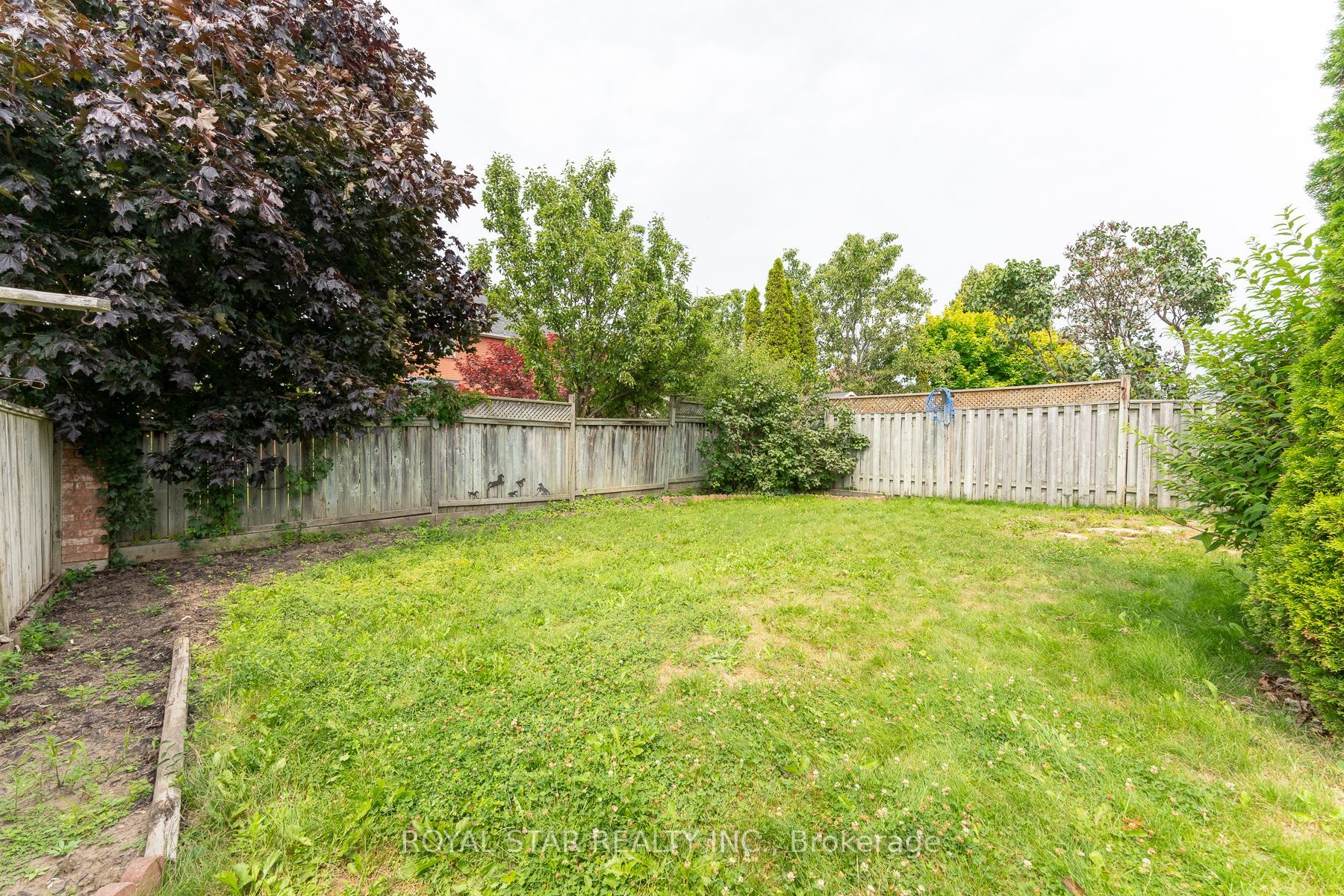 115 Wilkins Cres
