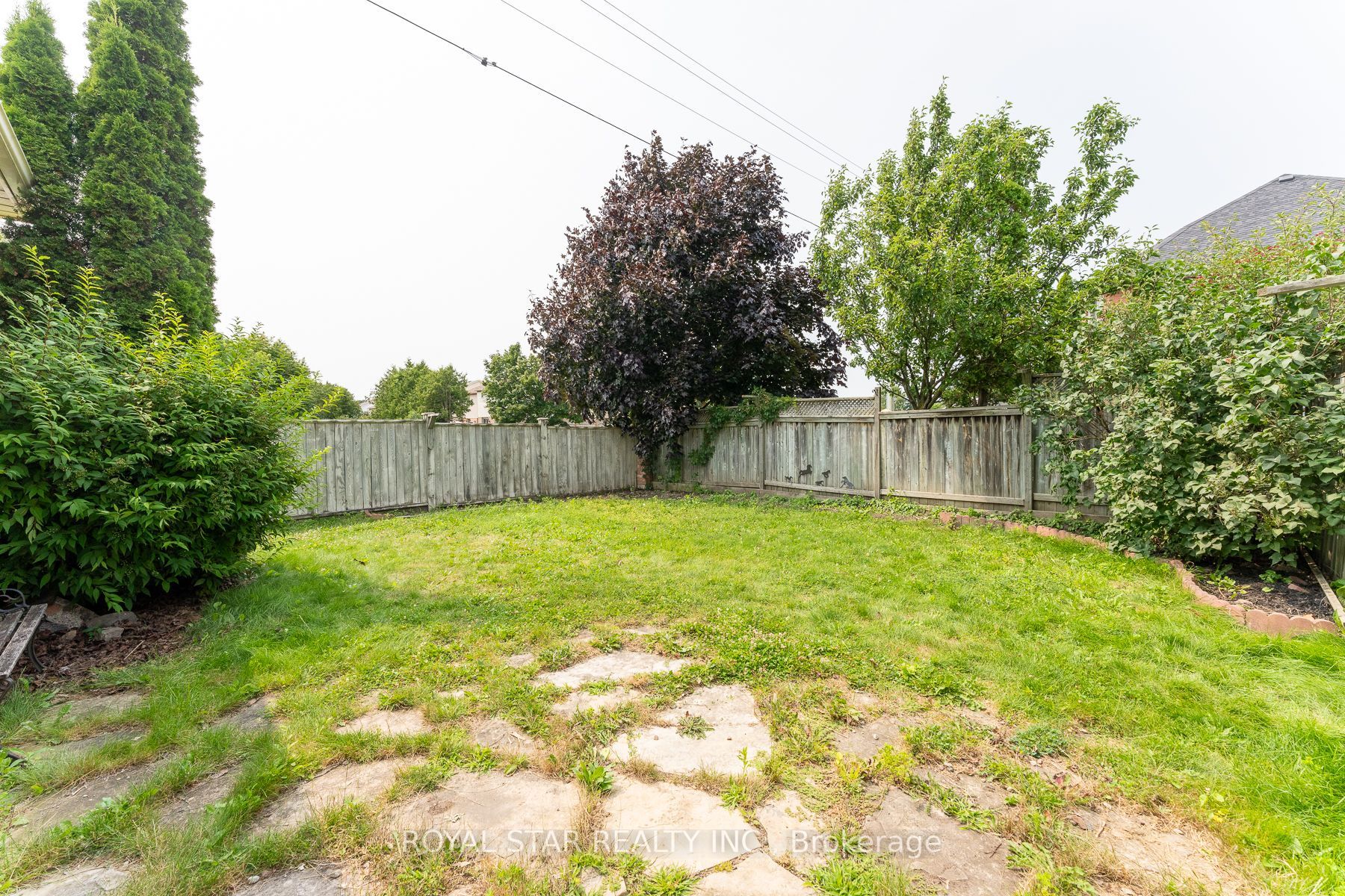 115 Wilkins Cres