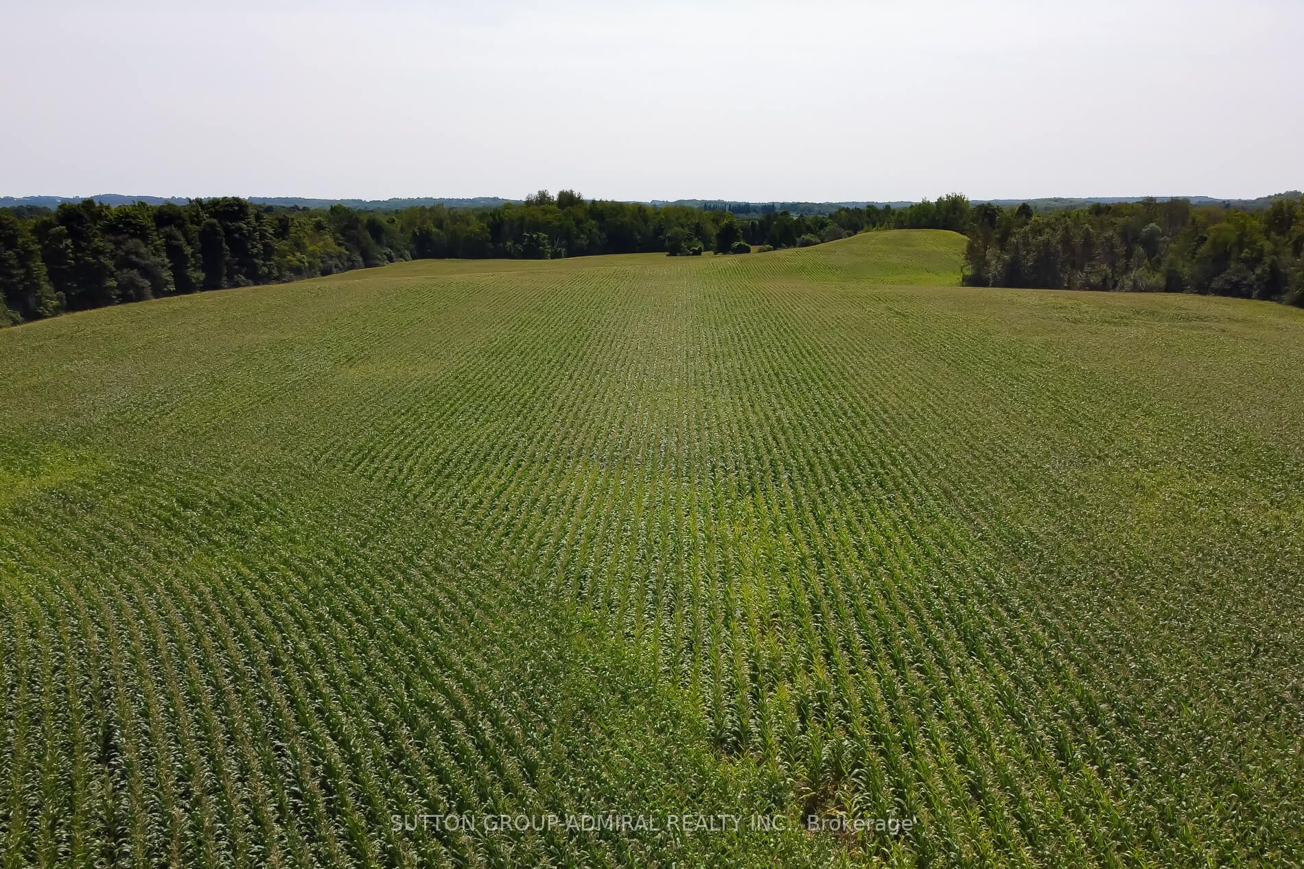 Lot 5 Con 5, Scugog Line, #6