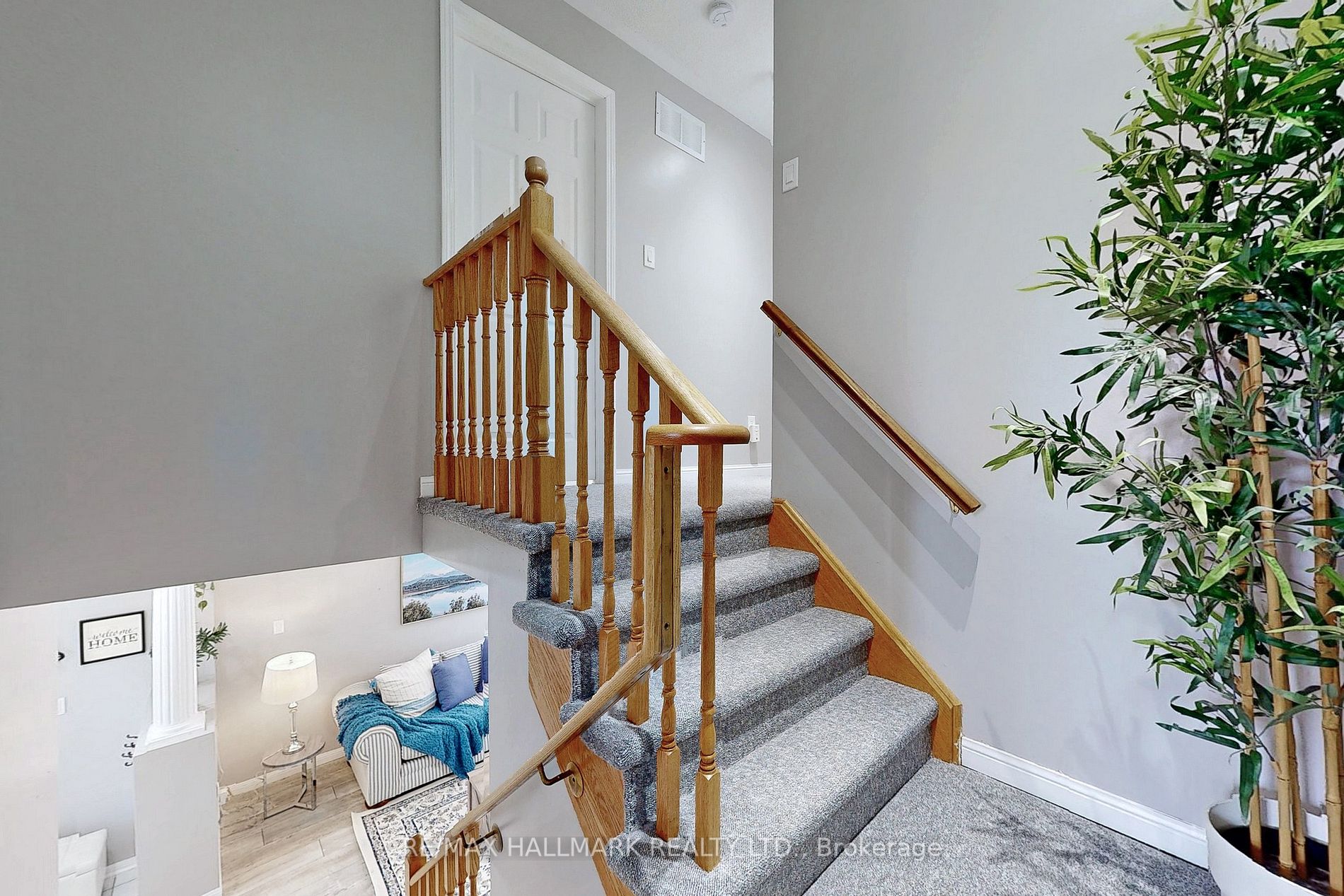 5 Shady Lane Crescent