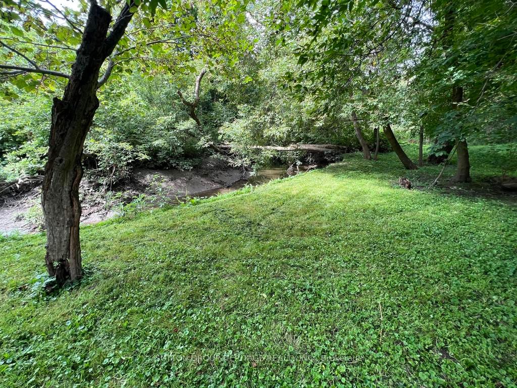 260 Lupin Dr