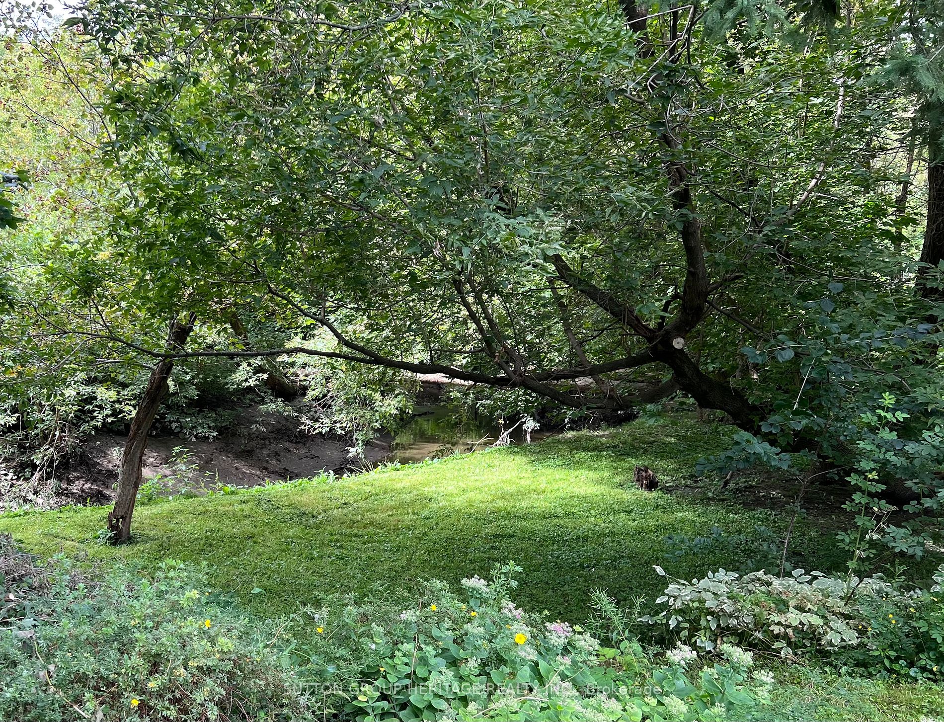260 Lupin Dr