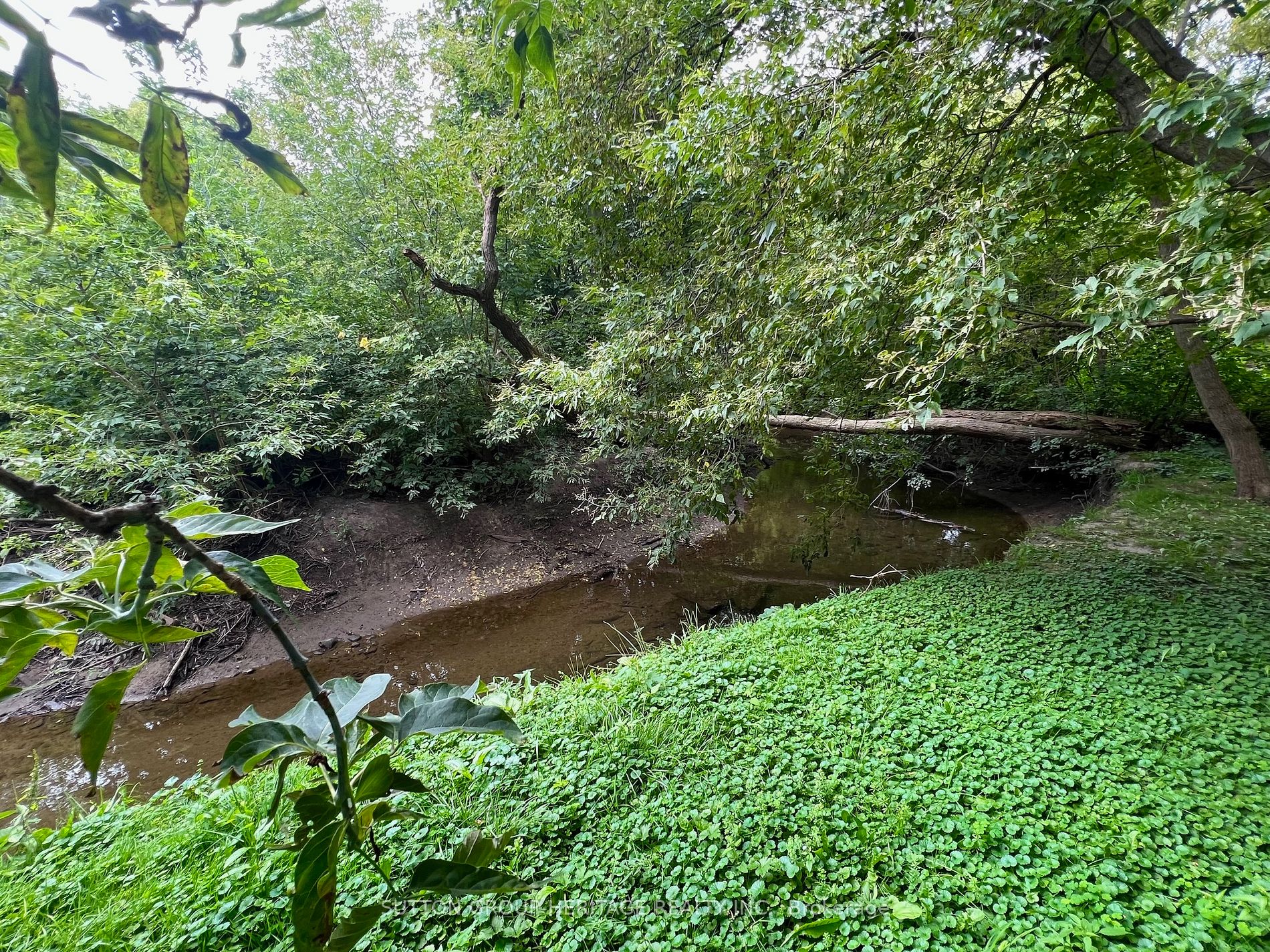 260 Lupin Dr
