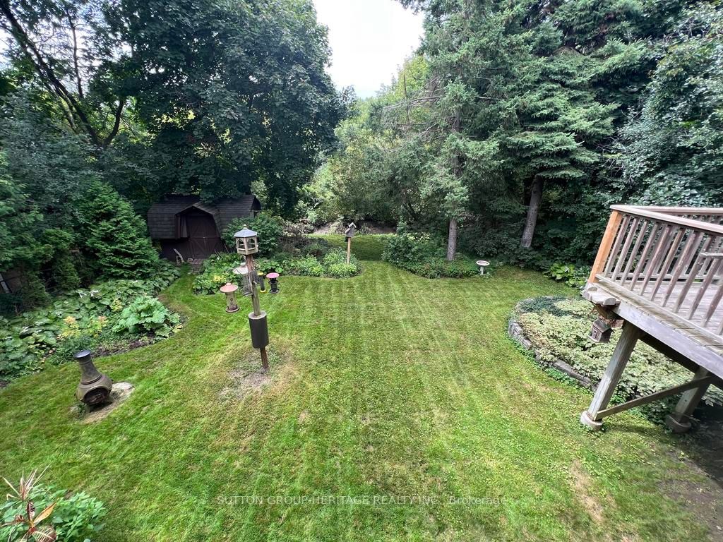260 Lupin Dr