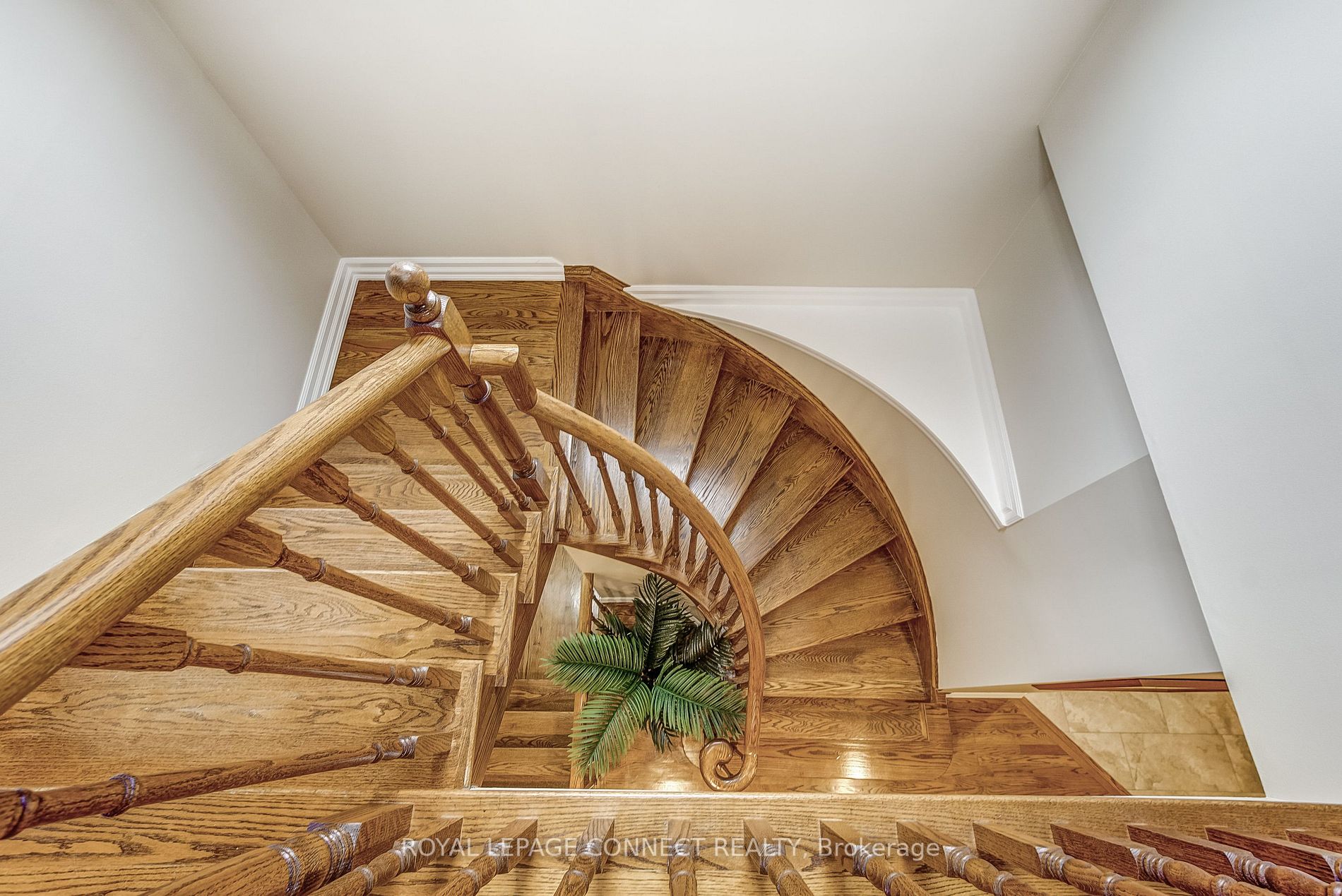 1782 Silver Maple Drive