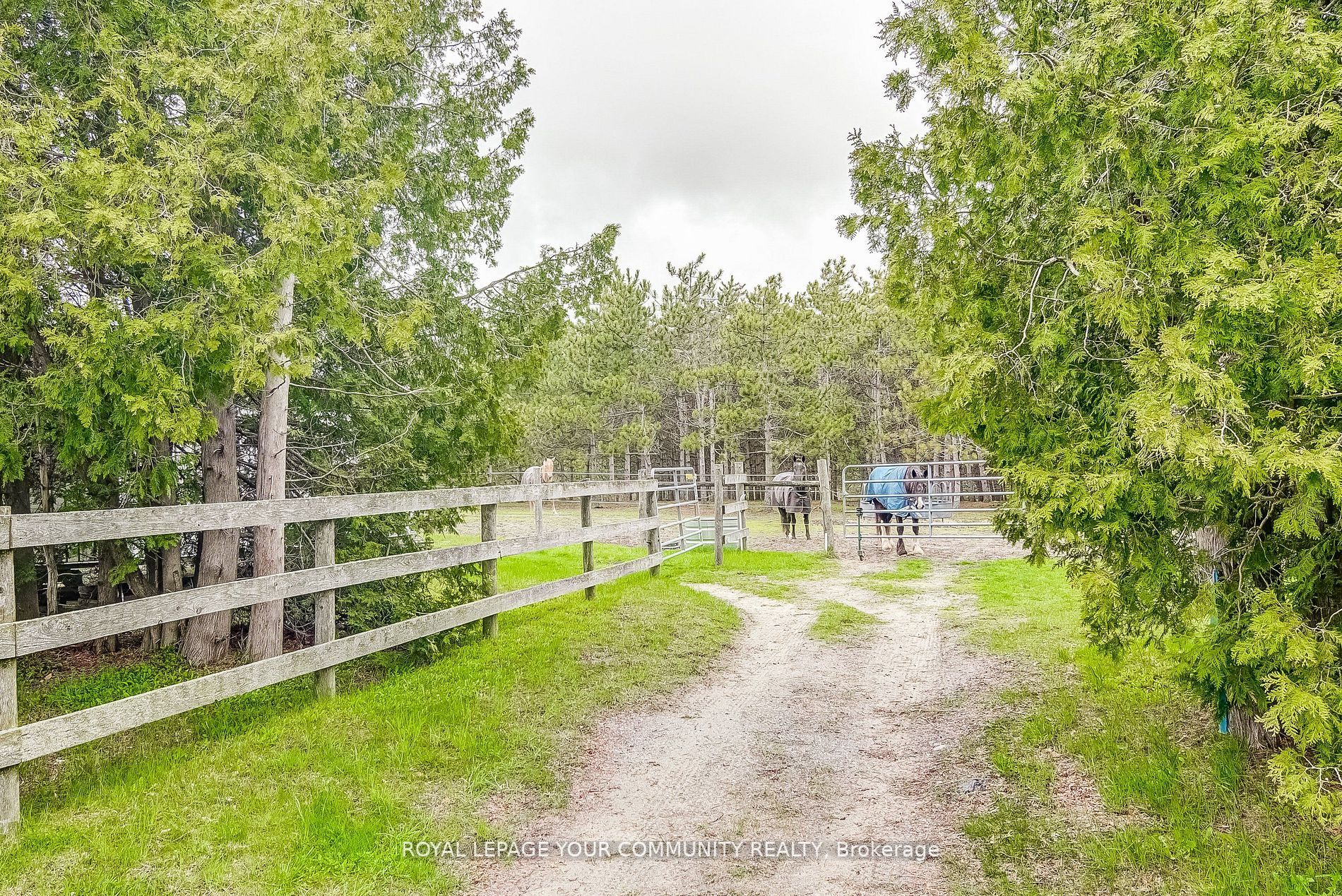 4751 Highway 7A Rd