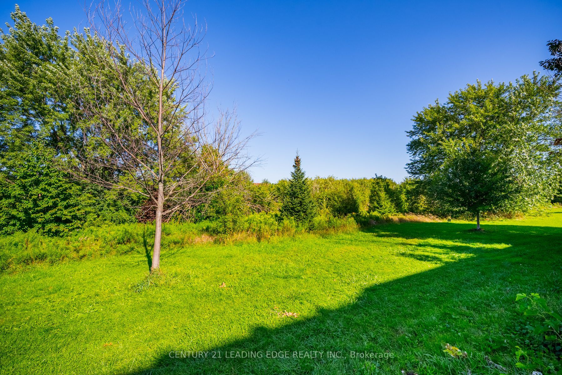 Listing E6792990 - Large Photo # 32