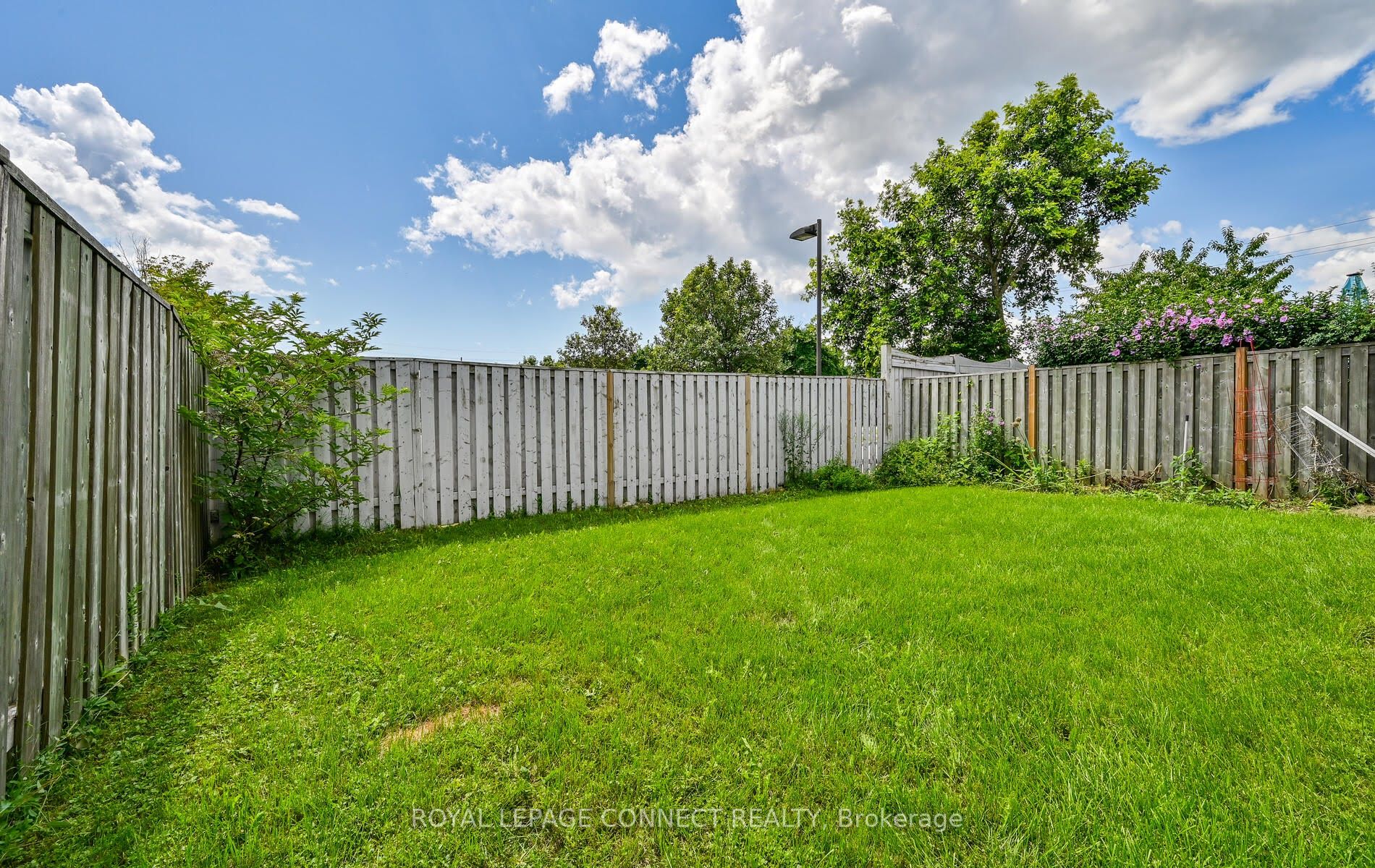 3 Dent St