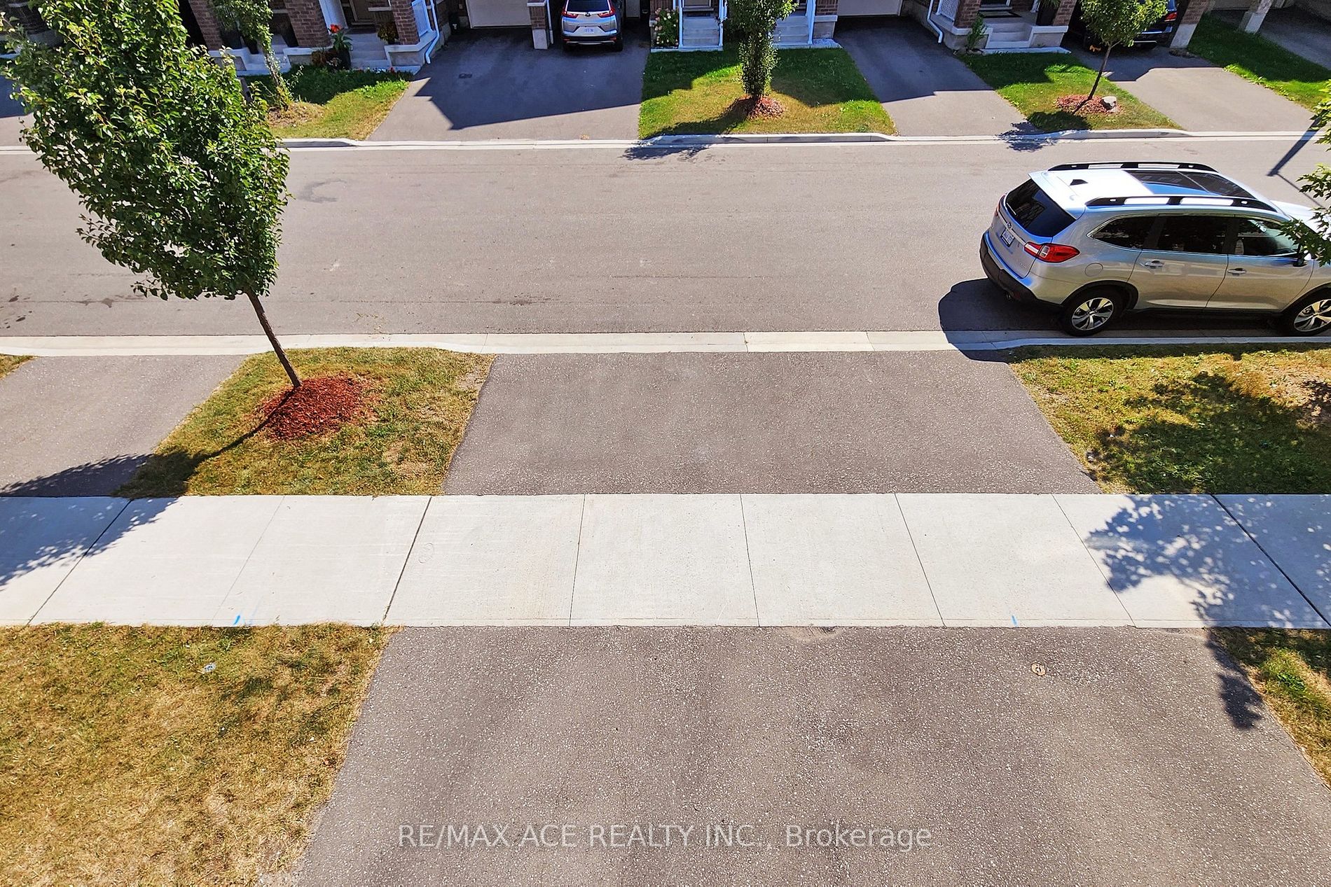 8 Goldeye St
