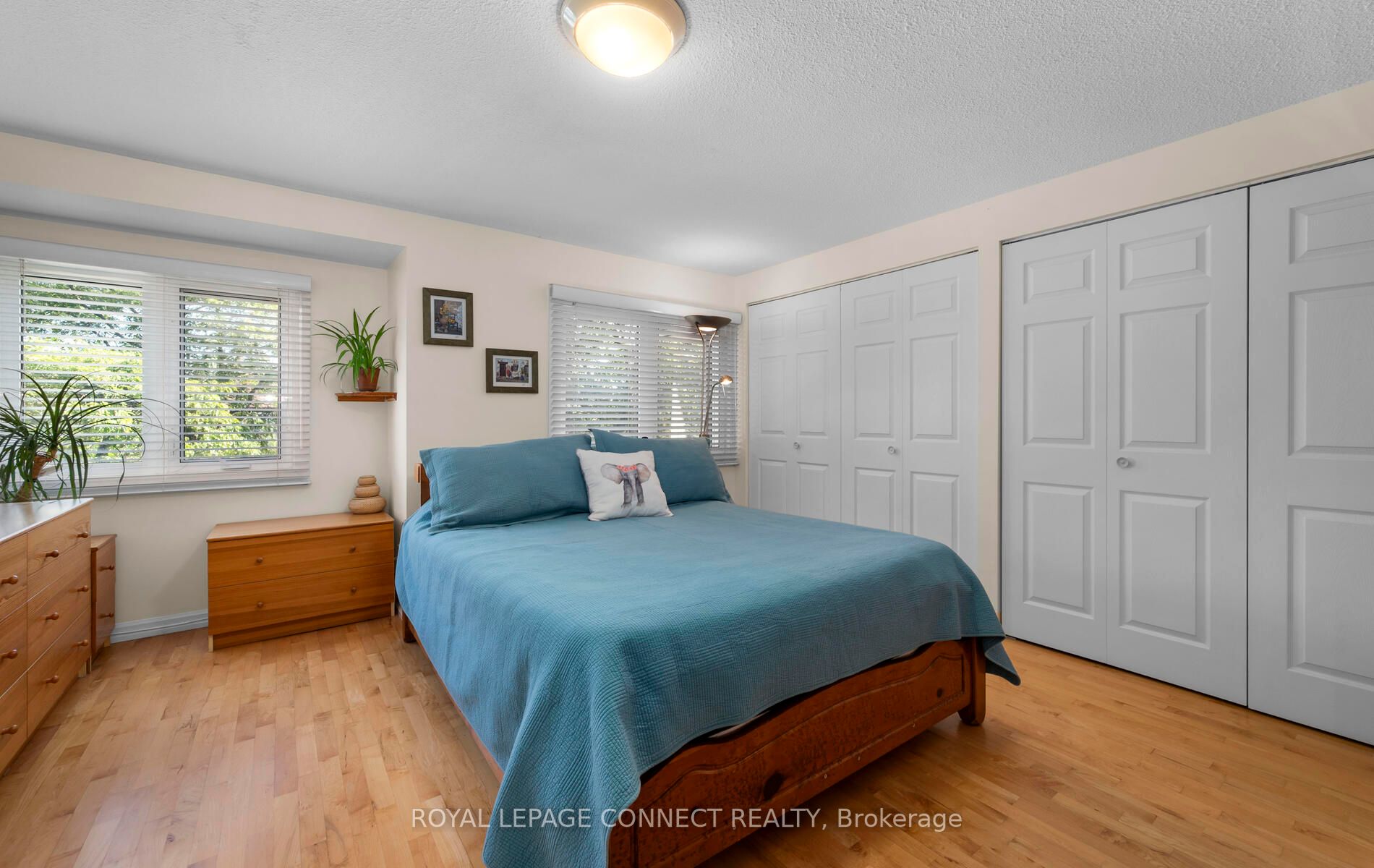Listing E6799314 - Large Photo # 12