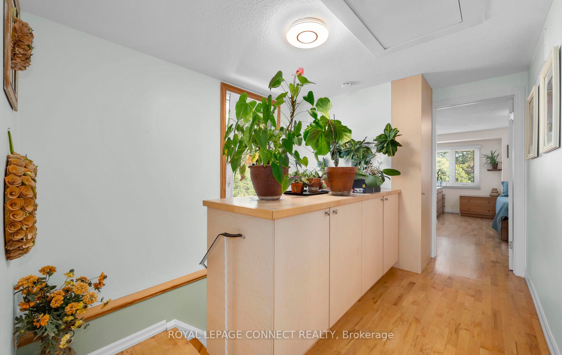 Listing E6799314 - Large Photo # 11