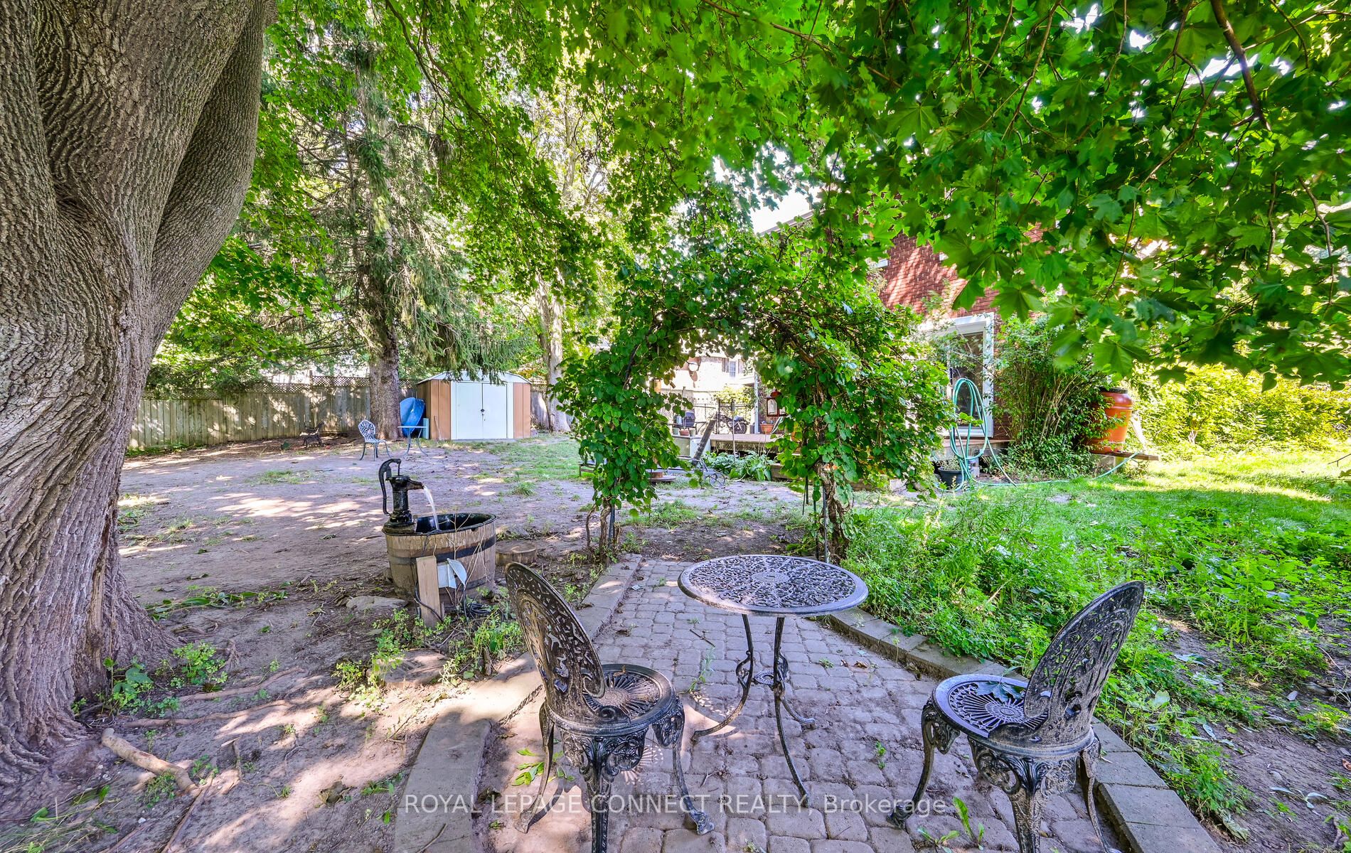 38 Scugog St