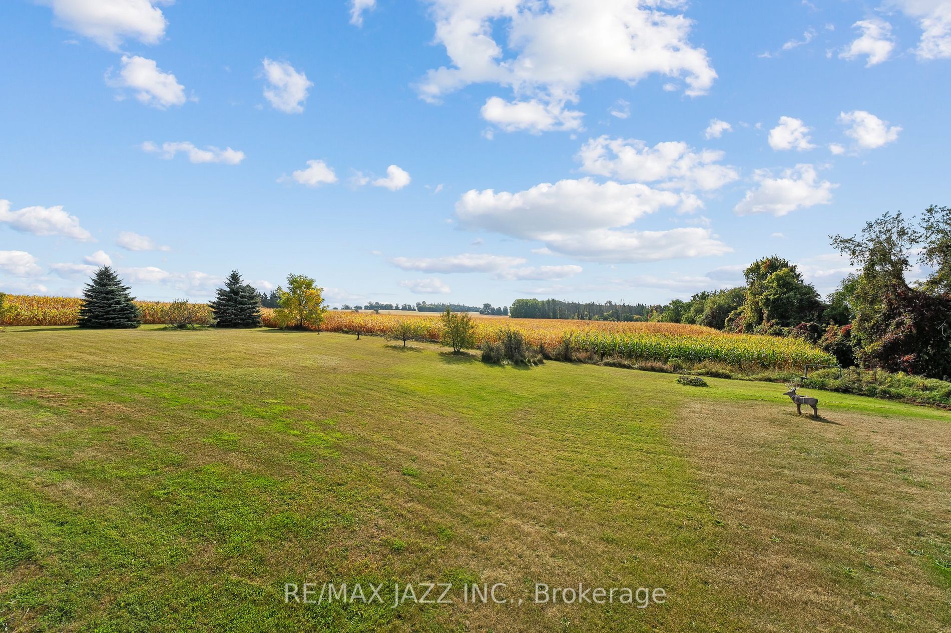 3810 Edgerton Rd